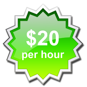 Twenty Dollars per hour computer maintenance
